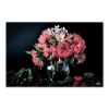 Tranh Canvas Hoa Nhụy Đỏ Alila (60x90cm)