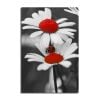 Tranh Canvas Ladybug And Daisy B&W (60x90cm)