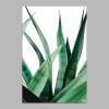 Tranh Canvas Pineapple Leaves Alila (60x90cm)