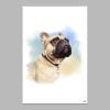 Tranh Canvas Pug Alila (60x90cm)