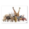 Tranh Canvas The Animals Alila (60x90cm)