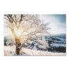 Tranh Canvas Winter Tree 2 Alila (60x90cm)