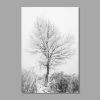 Tranh Canvas Winter Tree Alila (60x90cm)