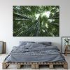 Tranh Canvas Bamboo Alila (60x90cm)