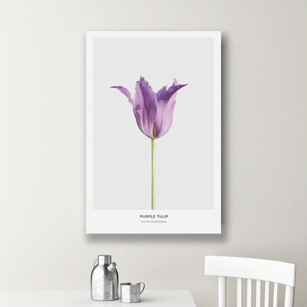 Tranh Canvas Hoa Tulip Tím (40x60cm - 50x75cm - 60x90cm)