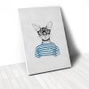 Tranh Canvas Mr Cat With Blue T-Shirt (40x60cm - 50x75cm - 60x90cm)