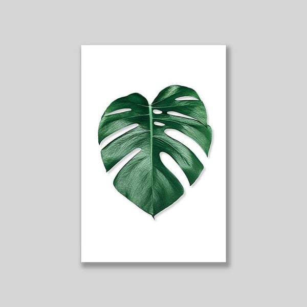 Tranh Canvas Lá Monstera Đơn Nét (40x60cm - 50x75cm - 60x90cm)