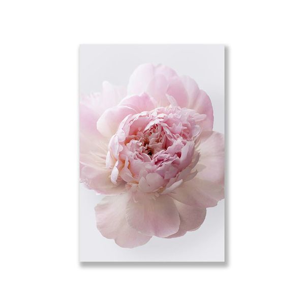 Tranh Canvas Hoa Peony Hồng Lớn Đơn (40x60cm - 50x75cm - 60x90cm)