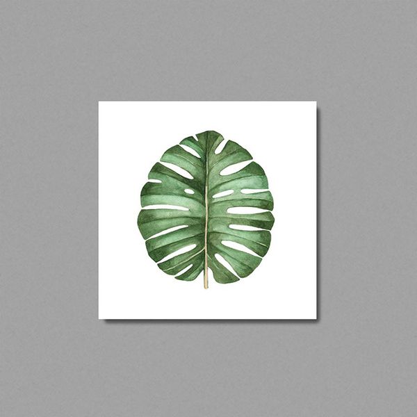 Tranh Canvas Lá Monstera Đơn Màu Nước (50x50cm - 60x60cm)