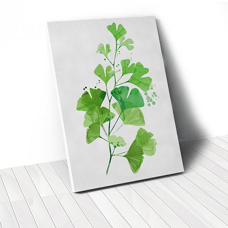 Lá vẽ hình chữ nhật lá bạch dương sách tô màu png  PNGEgg