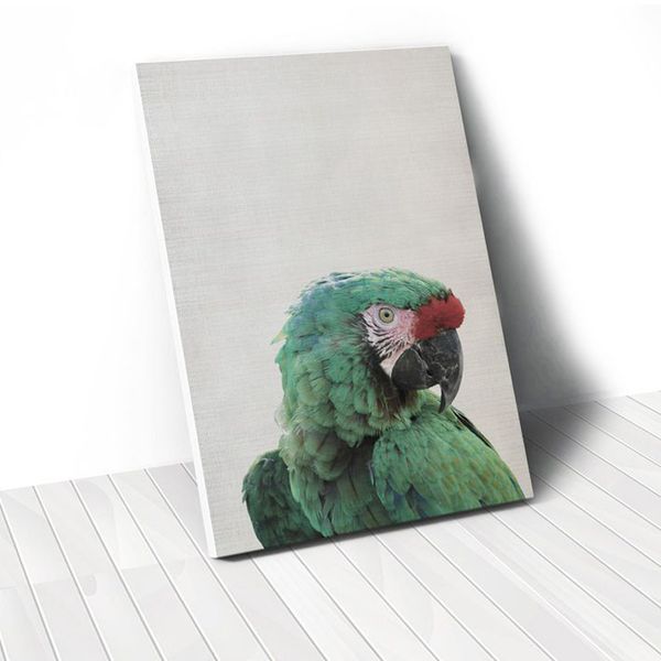 Tranh Canvas Green Parrot (40x60cm - 50x75cm - 60x90cm)