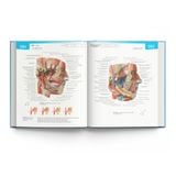 Sobotta Atlas giải phẫu người (phiên bản thứ 14)