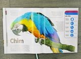 Động Vật - Bách khoa thư hình ảnh về các loài vật trên trái đất
