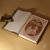 Sách decor Kiêu hãnh và định kiến (Thanh toán online trước khi nhận hàng (Chuyển khoản/VNPay))