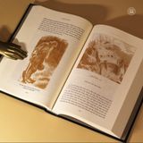 Sách decor Robinson Crusoe (Thanh toán online trước khi nhận hàng (Chuyển khoản/VNPay))