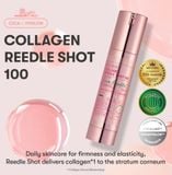  Tinh Chất Vi Kim Tái Tạo, Căng Bóng Da VT Reedle Shot 50ml 