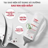  Dầu Xả Giảm Rụng Tóc DR.FORHAIR Folligen Scalp Pack 250ml 