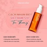  (Mẫu mới) Dầu Dưỡng Phục Hồi Tóc Hư Tổn Mise En Scene Perfect Serum 80ml 