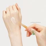  (MẪU MỚI) Kem Dưỡng Nhân Sâm, Chống Lão Hóa Sulwhasoo Concentrated Ginseng Rejuvenating Cream Rich 10ml 