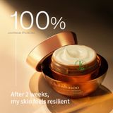  (MẪU MỚI) Kem Dưỡng Nhân Sâm, Chống Lão Hóa Sulwhasoo Concentrated Ginseng Rejuvenating Cream Rich 10ml 