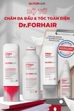  Tẩy Tế Bào Chết Da Đầu Muối Biển Giảm Gàu, Giảm Rụng Tóc DR.FORHAIR Folligen Sea Salt Scaler 