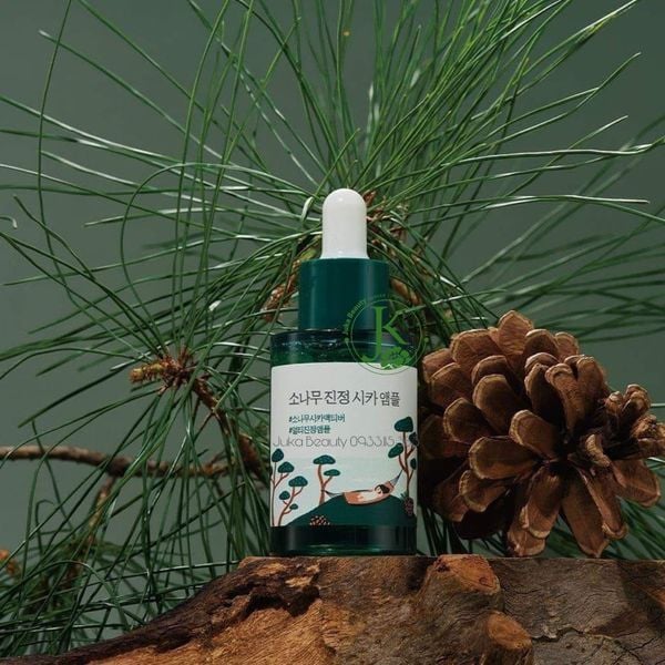  Tinh Chất Dịu Da Round Lab Pine Calming Cica Ampoule 30ml 