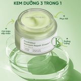  Kem Dưỡng ẩm, Phục Hồi Sungboon Editor Cocklebur Namomi Repair Cream 50ml 