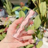  Son Kem Lì Dạng Thỏi YNM Cream Matte Lipstick 5g 