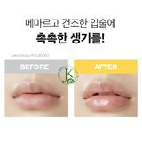  Dưỡng Môi Keo Ong CNP Propolis Lipcerin 15ml 