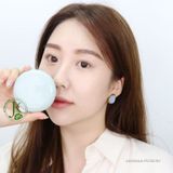  Phấn Nước Kiềm Dầu Innisfree No Sebum Powder Cushion 14g 