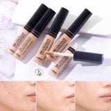  Kem Che Khuyết Điểm The Saem Cover Perfection Tip Concealer 6.5g 