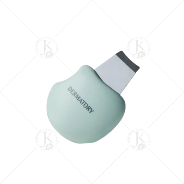  Thanh Đẩy Mụn Dermatory Salicinic Pore Trouble Cleaner 