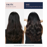  (Mẫu mới) Tinh Chất Dưỡng Tóc, Thơm Lâu Dr.FORHAIR Unove Silk Oil Essence 70ml 