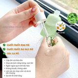  Tinh Chất Rau Má, Giảm Mụn PrettySkin The Pure Jeju Cica 80 Ampoule 50ml 