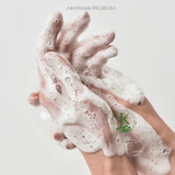  (Mẫu mới) Sữa Rửa Mặt Dưỡng ẩm, Dành Cho Da Khô Anua Heartleaf SUCCINIC MOISTURE Cleansing Foam 150ml 