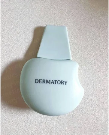  Thanh Đẩy Mụn Dermatory Salicinic Pore Trouble Cleaner 
