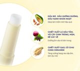  Son Dưỡng Môi Cho Bé Goongbe Kids Lip Balm (36M+) 3g 