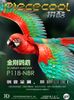  Mô hình Vẹt Macaw lắp ráp kim loại 3D – Piececool MP748 