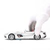  Mô hình xe Mercedes-Benz SLR Stirling Moss 1:32 TYmodels 