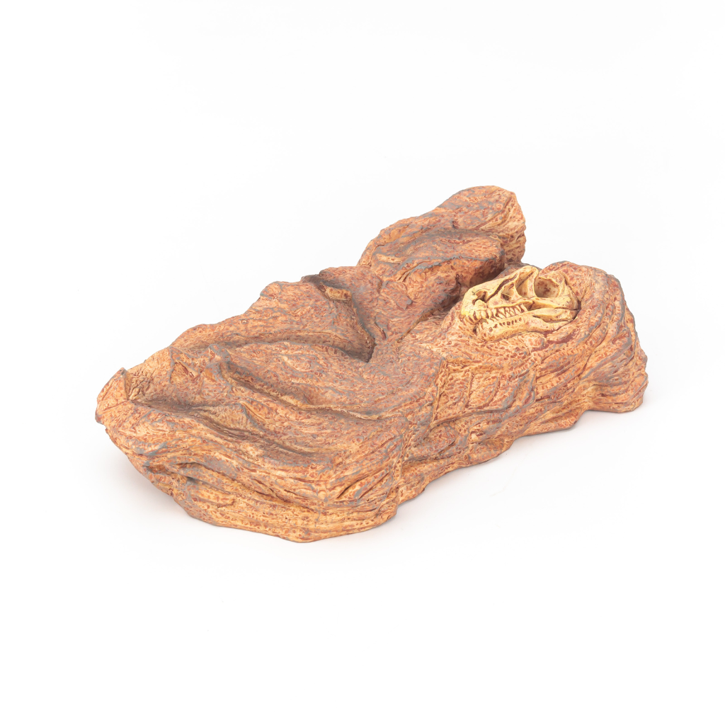 Mô hình Đất Nền Diorama Trưng Bày Khủng Long