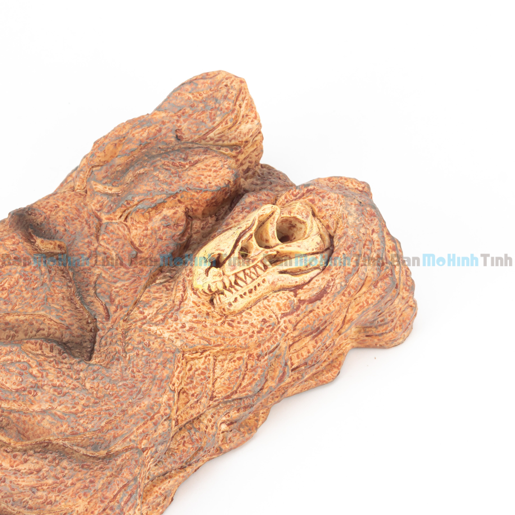 Mô hình Đất Nền Diorama Trưng Bày Khủng Long