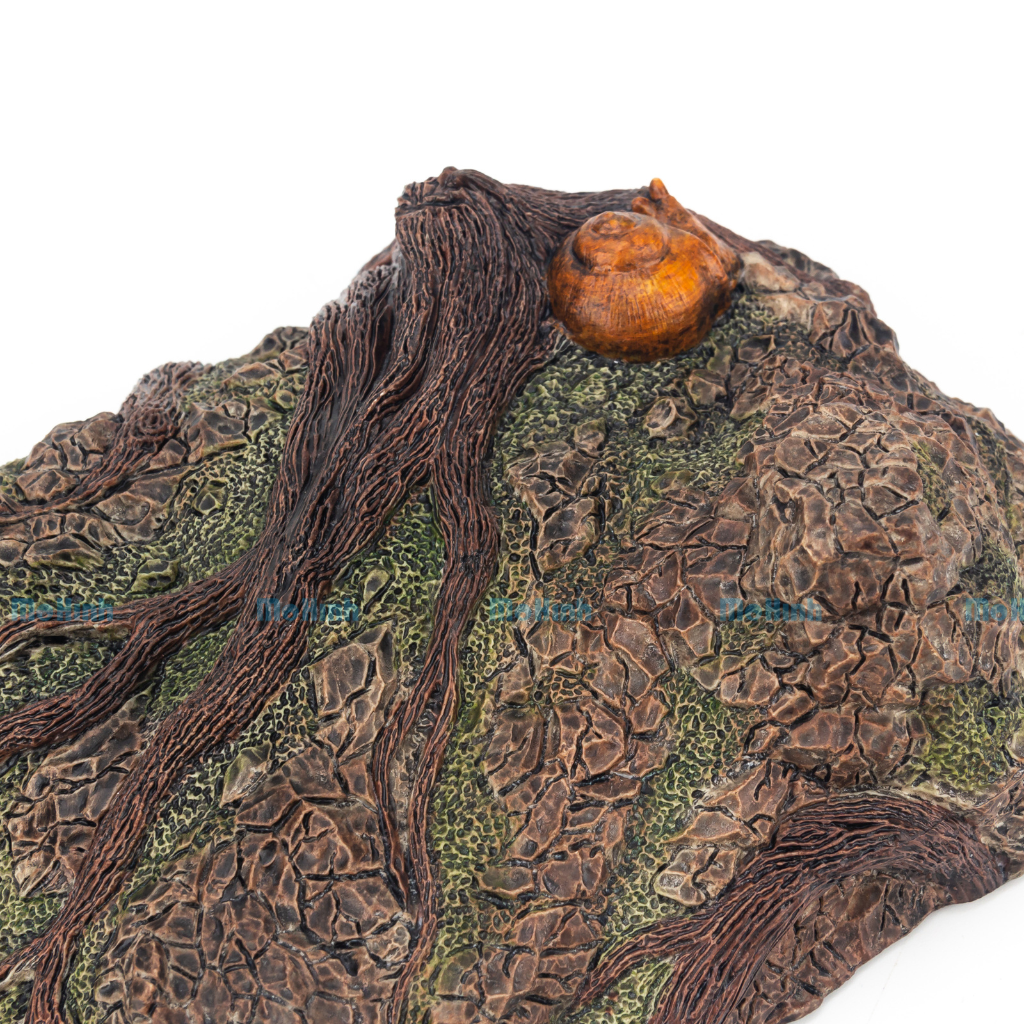 Mô hình Đất Nền Diorama Trưng Bày Khủng Long