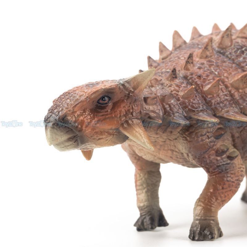 Mô hình khủng long ăn cỏ Saichania 1:25 TNG