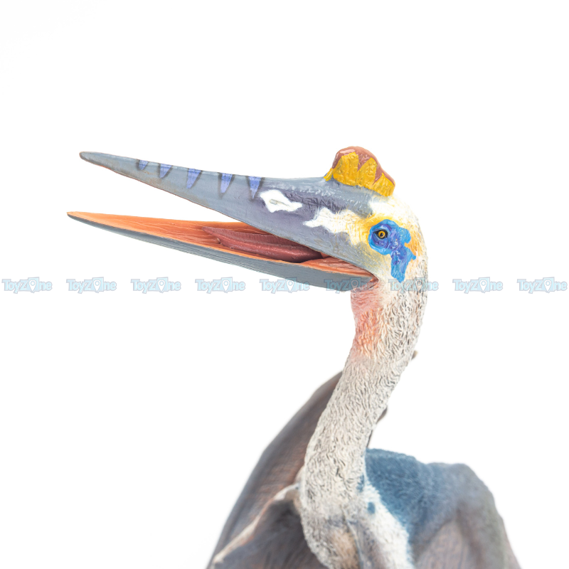  Mô hình khủng long bay Blue Quetzalcoatlus (Dực Long) - T5011 - TNG 