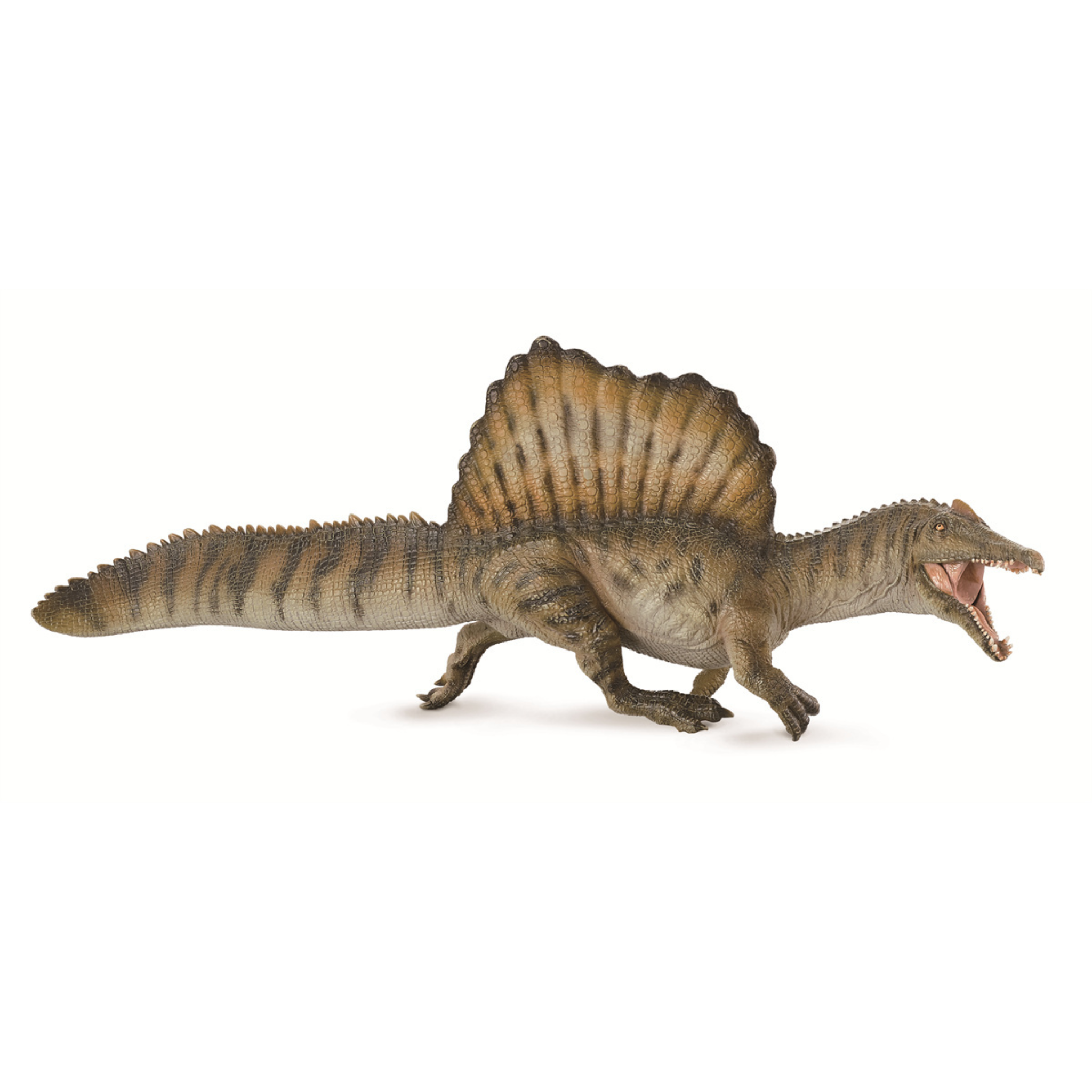 Lịch sử giá Mô Hình Khủng Long Acrocanthosaurus Mã Papo 55062  Acrocanthosaurus Dinosaurs cập nhật 82023  BeeCost