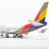 Mô hình máy bay Asiana Airlines Boeing B747 47cm lắp ráp có đèn Everfly
