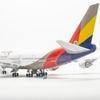  Mô hình máy bay Asiana Airlines Boeing B747 47cm lắp ráp có đèn Everfly 