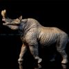 Mô hình tê giác cổ đại Brontotherium 1:35 TNG