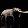 Mô hình voi cổ đại Yellow River Stegodon 1:35 TNG