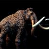 Mô hình voi Mammoth TNG